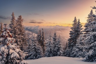 A Winter Wonder Land sunset hiking tour in the snow on the Edelsberg near Nesselwang in the Allgäu