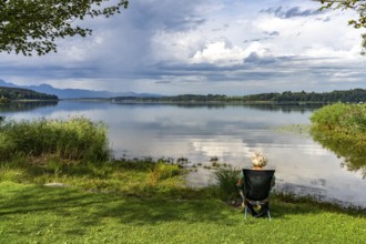 A woman sits on the shore of Lake Simssee near Bad Endorf, Bavaria, Germany, Europe