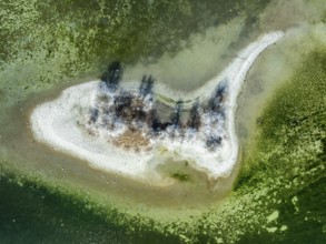 Aerial photograph, top down view of the Liebesinsel, near the Mettnau peninsula, Radolfzell on Lake