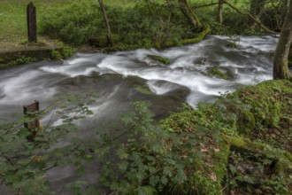 Rapids of the Trubach, Trubach Valley, Egloffstein, Upper Franconia, Bavaria, Germany, Europe