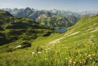 Panorama from Zeigersattel to Seealpsee, on the left behind the Höfats 2259m, Allgäu Alps, Allgäu,