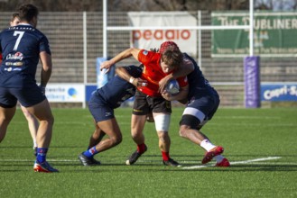 Rugby: Germany against MKS Pogon Awenta Siedlce, Poland in Heidelberg (test match of the German
