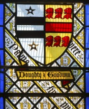 Stained glass window Doughty family crest by Thomas Willement c 1843, Theberton church, Suffolk,