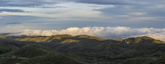 Sunrise, view from the mountain Alto de Garajonay, Garajonay National Park, La Gomera, Canary