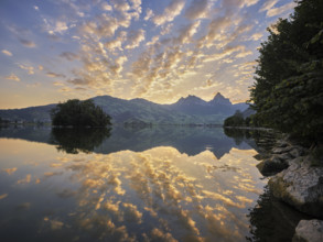 Morning atmosphere at Lake Lauerz with island, Großer and Kleiner Mythen in the background, Lauerz,