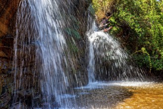 Surrounded by vegetation in Minas Gerais Minas Gerias, Brazil, South America