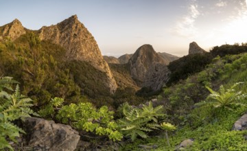 Los Roques, striking rock towers, Monumento Natural de los Roques, La Gomera, Canary Islands,