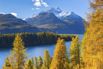 Silsersee, Piz da la Margna, 3158 m, Upper Engadine, Grisons, Switzerland, Europe