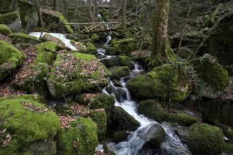 Moss-covered rocks, waterfalls, wooden bridge, Geishöll waterfalls, In der Geishöll, near