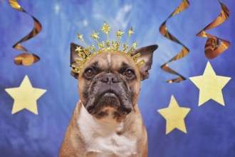 French Bulldog dog wearing New Year's Eve party headband with text 'Happy new year' in front of