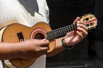 Cavaquinho being played during a samba performance on the streets of Brazil, Brazil, South America