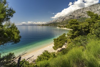 Dracevac beach near Podgora, Croatia, Europe