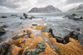 Rocky coast of fjord of Norwegian sea in winter with snow. Skagsanden beach, Lofoten islands,