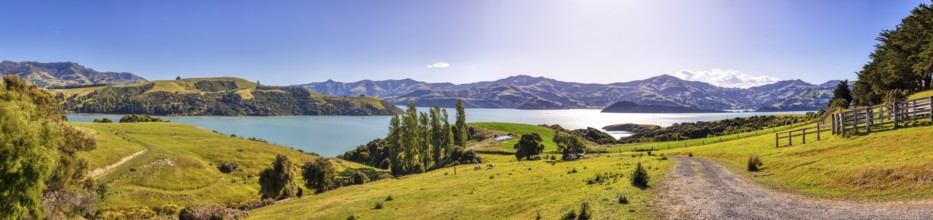 Bucht, Landschaft, Banks Peninsula, Canterbury, Neuseeland