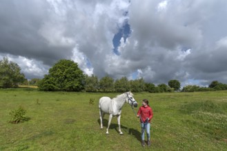 Girl, 10 years, with her horse in the pasture, Mecklenburg-Western Pomerania, Germany, Europe