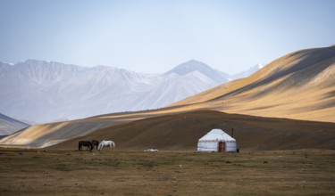 Horses at a traditional Kyrgyz yurt between golden meadows, Burkhan Valley, Terskey Ala-Too, Tien