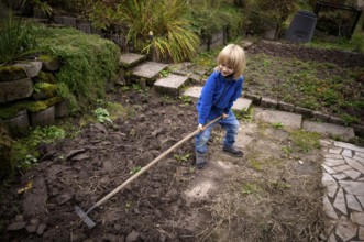 Little boy, 6 years, blonde, gardening, rake, allotment, Stuttgart, Baden-Württemberg, Germany,