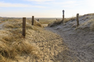 Path in the dune landscape, Norderney, Lower Saxony, Germany, Europe