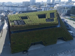 Der Kö Bogen II, Europas größte Grünfassade aus Hainbuchen, Düsseldorf, Drohnenaufnahme,