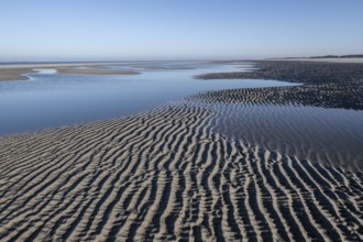 Wadden Sea, Amrum, Schleswig-Holstein, Germany, Europe