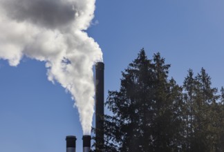 Pollution, industry, smoke coming from a factory chimney near a coniferous forest, Austria, Europe
