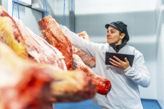Female butcher using digital tablet to analyze products in a cold meat storage room
