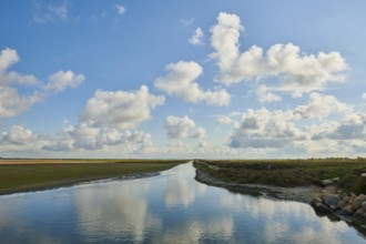 Landscape of clouds flying over a little river, Camargue, France, Europe