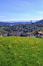Hauzenberg, Bavarian Forest, Lower Bavaria, Bavaria, Germany, Europe