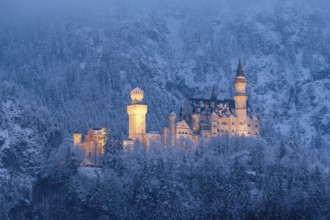 A majestic, illuminated castle in the middle of a snow-covered mountain landscape at night,