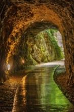 Trail in the Iris Grotto at the Cola de Caballo Waterfall in the Monasterio de Piedra Natural Park,