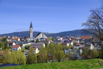 Parish Church of St Vitus, Hauzenberg, Bavarian Forest, Lower Bavaria, Bavaria, Germany, Europe