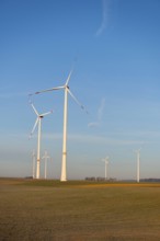 Numerous wind turbines on fields under a bright blue sky, solar park, near Ulm, Swabian Alb,