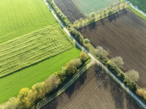 Fields and meadows, near village Plankstetten, aerial view, Berching, Bavaria, Germany, Europe