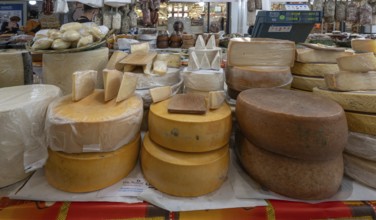 Italian cheese offer during the Italian weeks in Nuremberg, Middle Franconia, Bavaria, Germany,