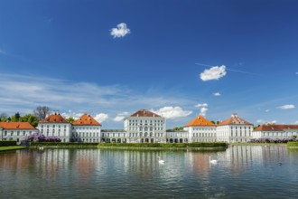 Swans in artificial pool in front of the Nymphenburg Palace. Munich, Bavaria, Germany, Europe
