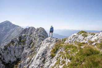Mountaineer on the summit ridge, Wettersteinkamm, Westliche Wettersteinspitze, Wetterstein