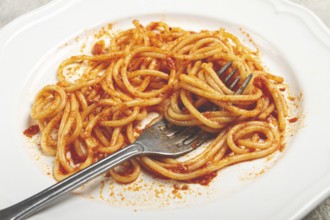 A plate with leftover spaghetti bolognese, no people
