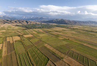 Aerial view, Cultivated fields, Agriculture, Landscape, Kyrgyzstan, Asia