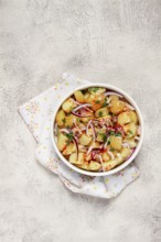 Boiled potato salad with red onion, German cuisine, homemade, no people