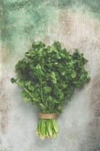 A bouquet of fresh coriander, a bunch of coriander on the table, top view