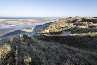 Dune landscape, Amrum, Schleswig-Holstein, Germany, Europe