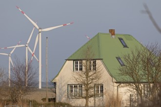 House, wind farm, wind power plants, Reußenköge, North Frisia, Schleswig-Holstein, Germany, Europe