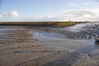 Low water, Ems, silt inflow, ferry harbour, Petkum, East Frisia, Germany, Europe
