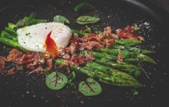 Asparagus with poached egg and fried bacon, micro greens and spices, breakfast, homemade, no people