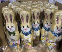 Display on retail shelf wholesale of chocolate Easter bunnies Easter bunnies made of chocolate