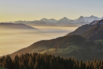 View from the Gurnigel Pass over the sea of fog behind Schreckhorn, Eiger, Mönch, Canton Bern,