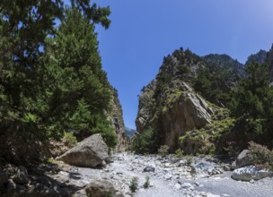 Hiking trail through the Samaria Gorge, south coast, Crete, Greece, Europe