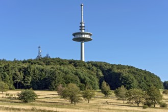 German Telekom telecommunications tower, transmission tower, forest, dry meadows, Hoherodskopf