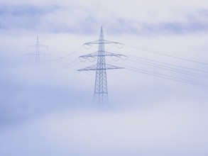 Power lines protrude through dense fog, creating a calm and mysterious atmosphere, Jettingen, Black