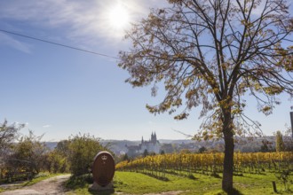 Viewpoint over the Proschwitz vineyards to Albrechtsburg Castle and Meissen Cathedral, Saxony,